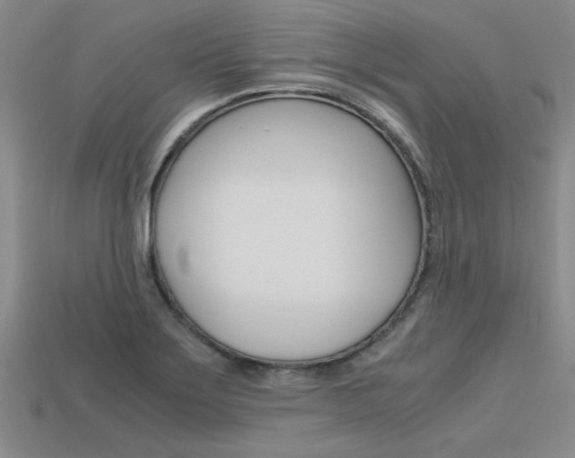 X0000113601275200909181101