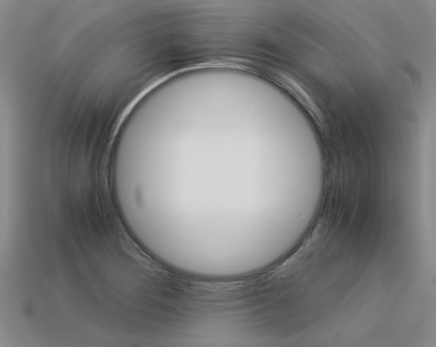 X0000113601276200909181101