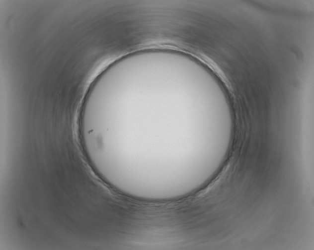 X0000113601277200909181101