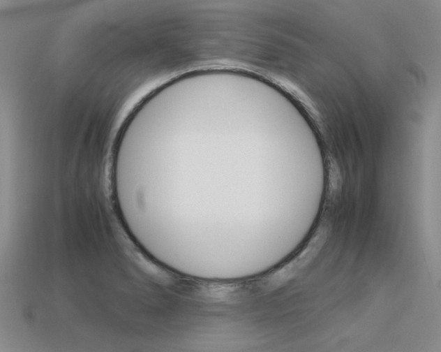 X0000113601278200909181101