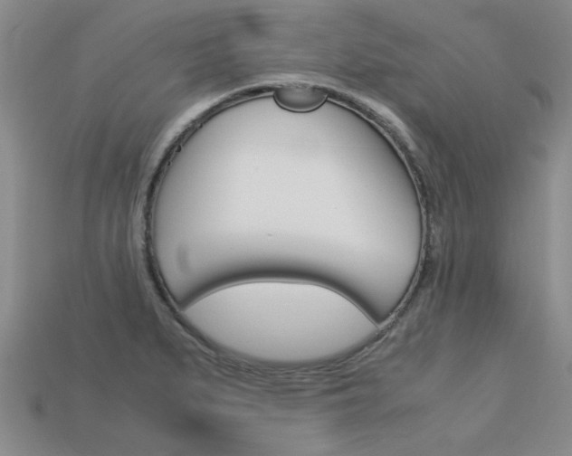 X0000113601279200909181101