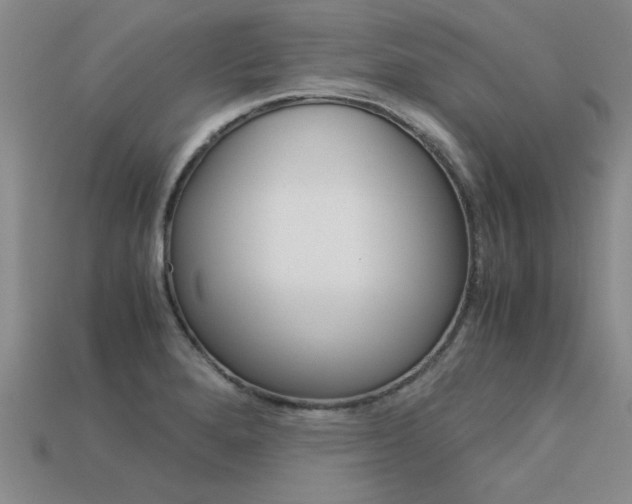 X0000113601280200909181101