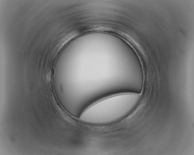 X0000113601281200909181101