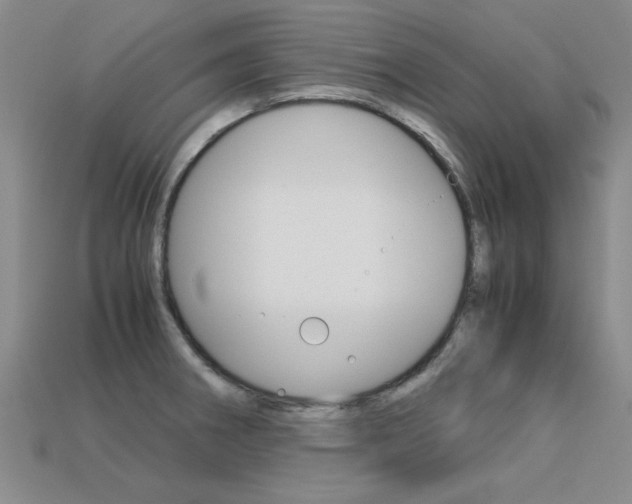 X0000113601282200909181101