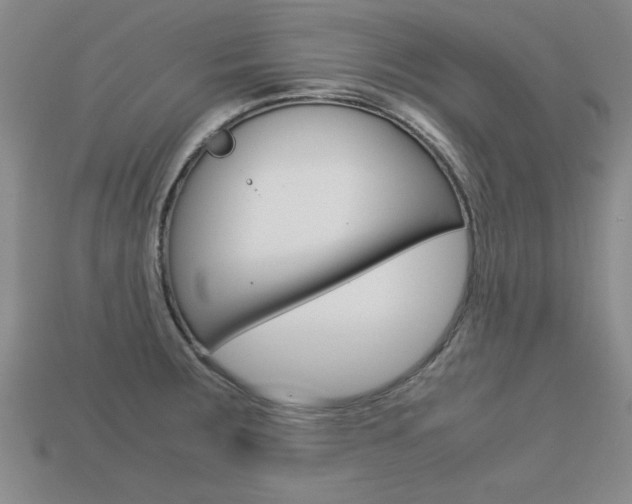 X0000113601283200909181101