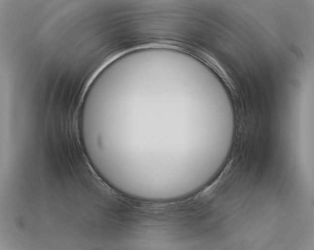 X0000113601284200909181101