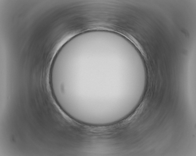 X0000113601285200909181101
