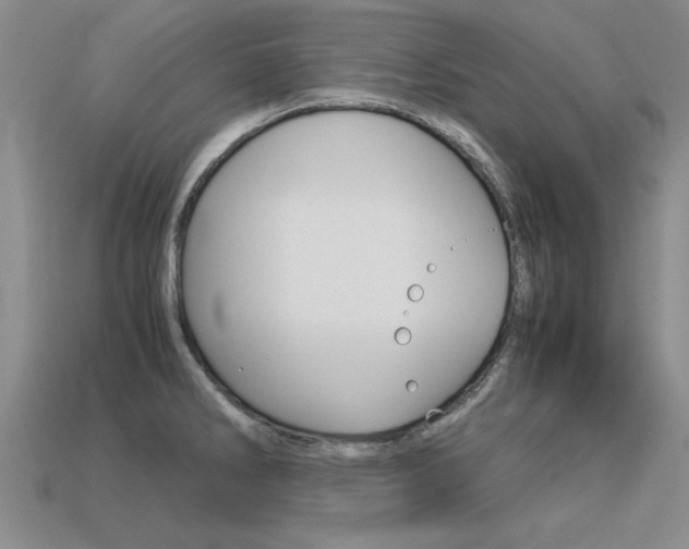 X0000113601286200909181101