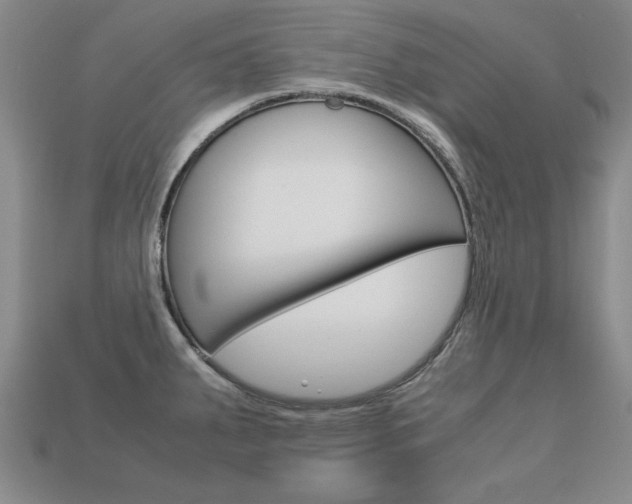 X0000113601287200909181101