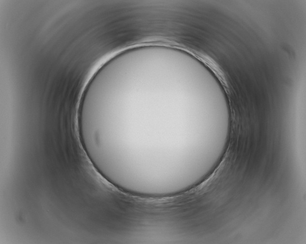 X0000113601288200909181101