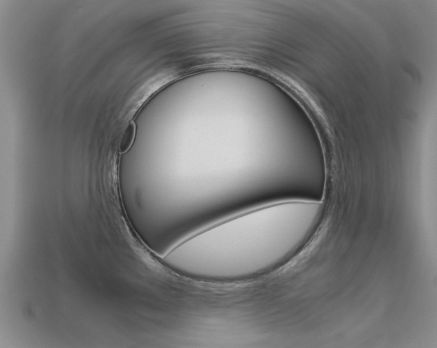 X0000113601289200909181101