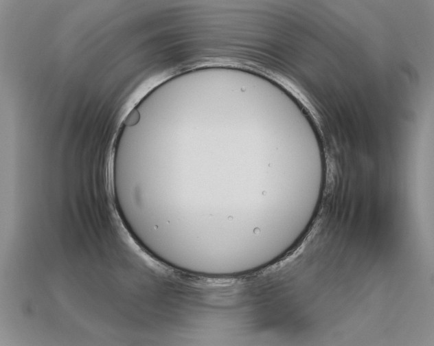 X0000113601290200909181101