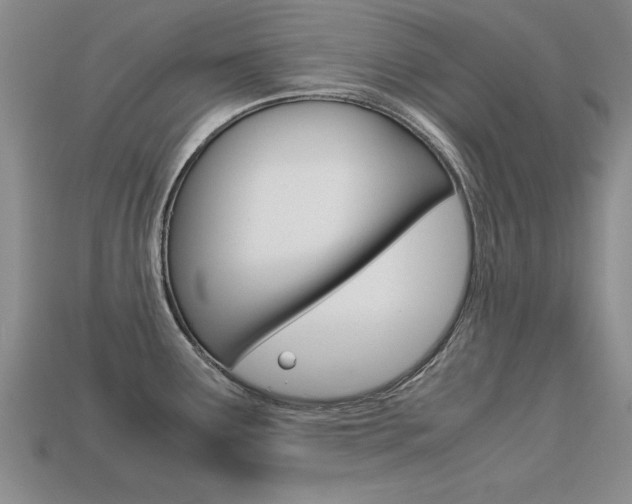 X0000113601291200909181101