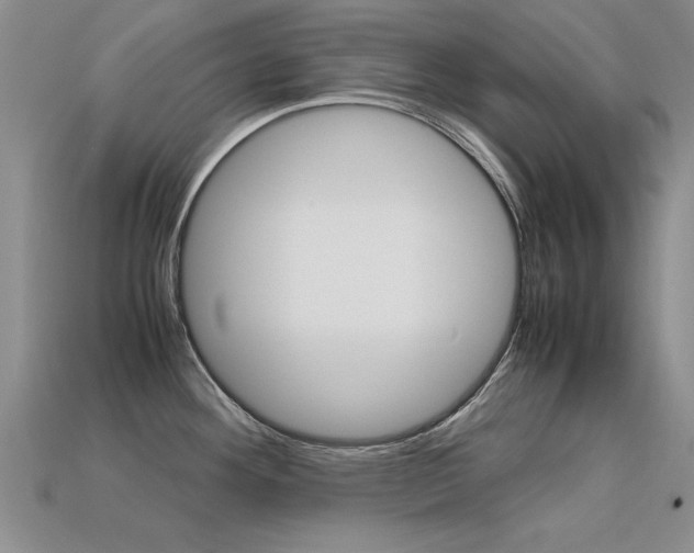 X0000113601292200909181101