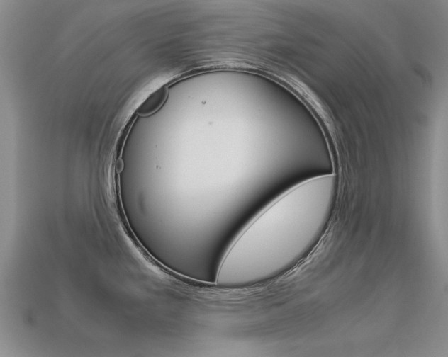 X0000113601293200909181101