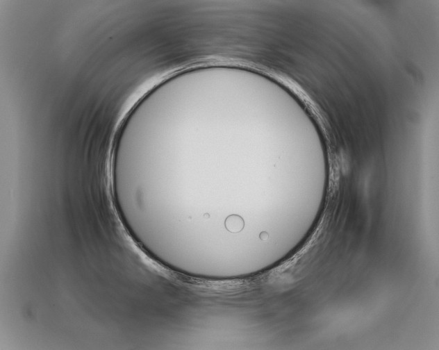 X0000113601294200909181101
