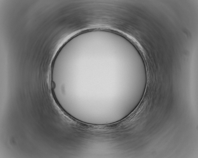 X0000113601295200909181101