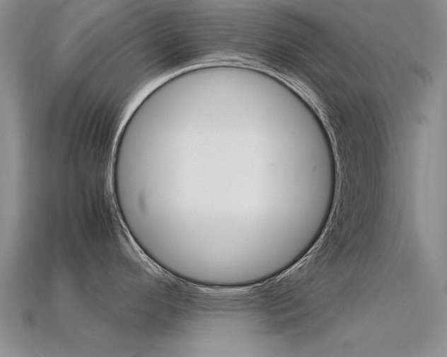 X0000113601296200909181101