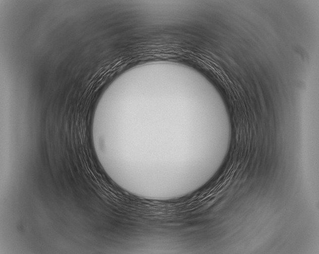X0000113601298200909181100