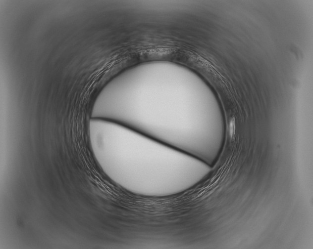 X0000113601299200909181100