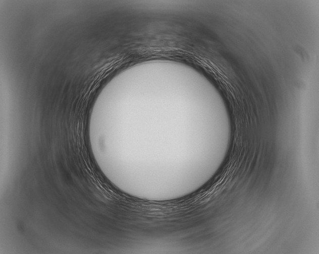 X0000113601300200909181100