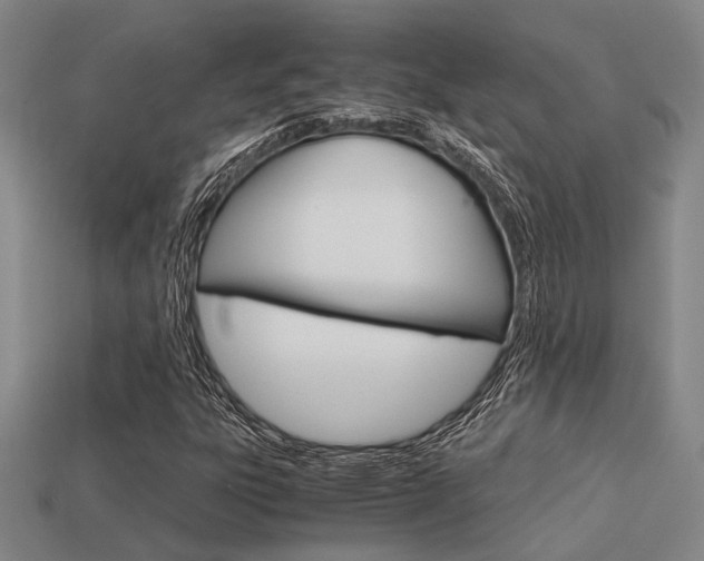 X0000113601303200909181100