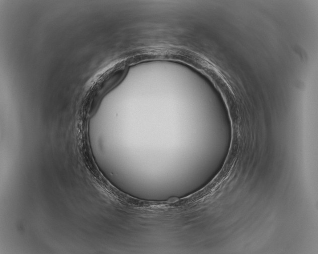 X0000113601304200909181100