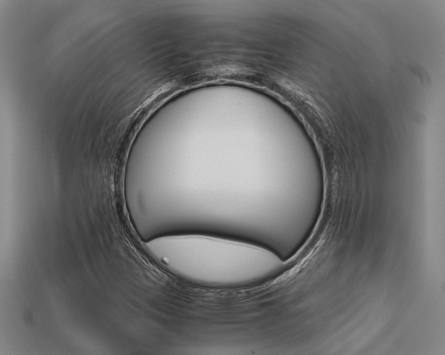 X0000113601305200909181100