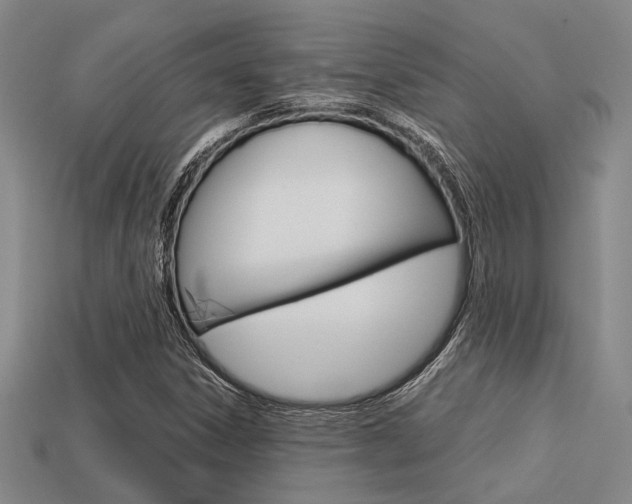 X0000113601306200909181100