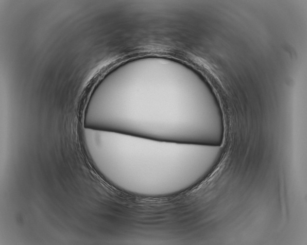 X0000113601307200909181100
