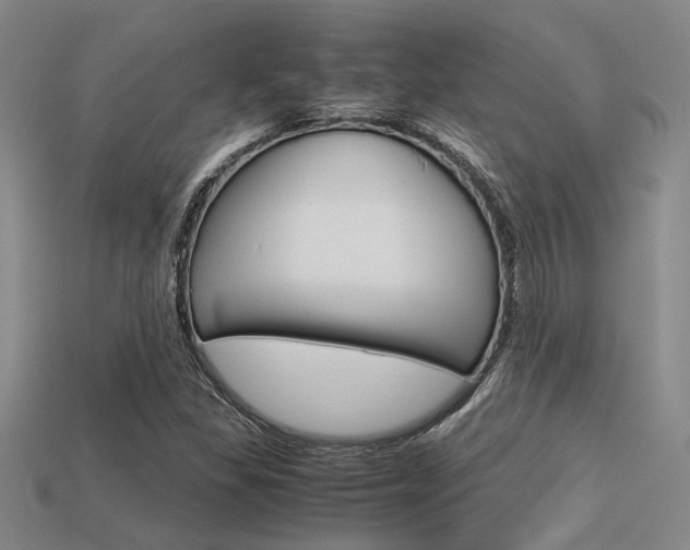 X0000113601309200909181100