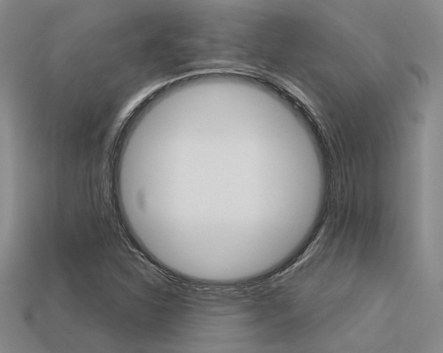 X0000113601310200909181100