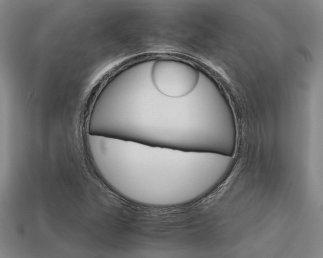 X0000113601311200909181100