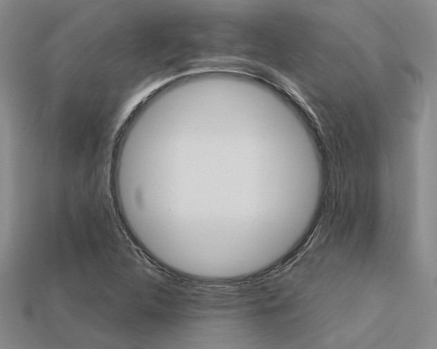 X0000113601312200909181100