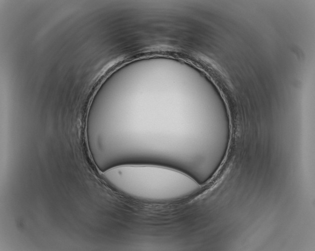 X0000113601313200909181100