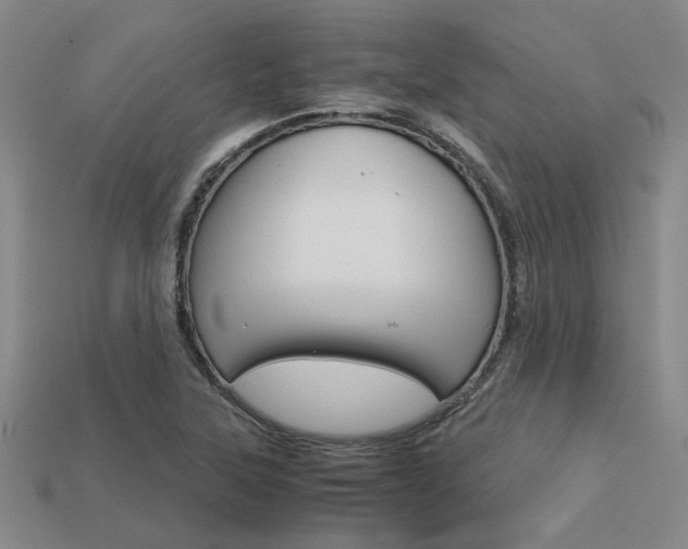 X0000113601315200909181100