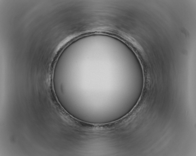 X0000113601316200909181100