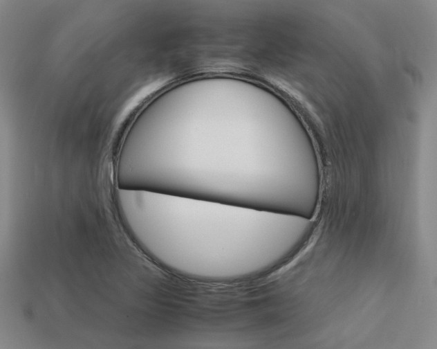 X0000113601317200909181100