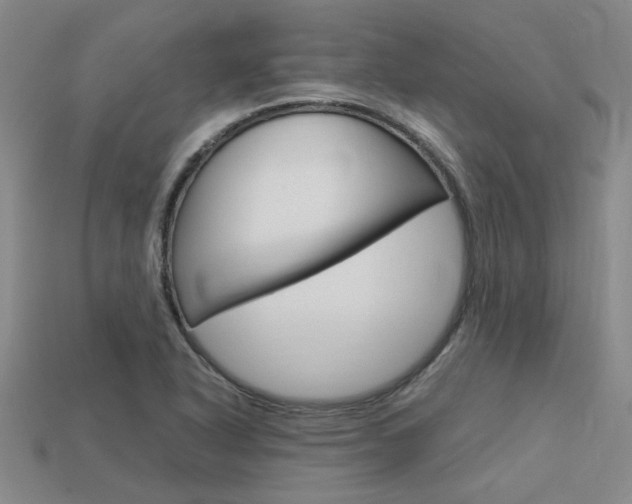 X0000113601318200909181100