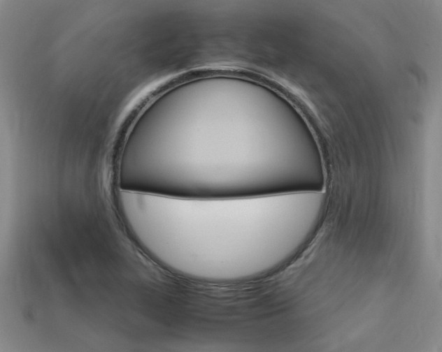 X0000113601319200909181100