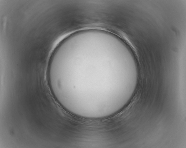 X0000113601320200909181100