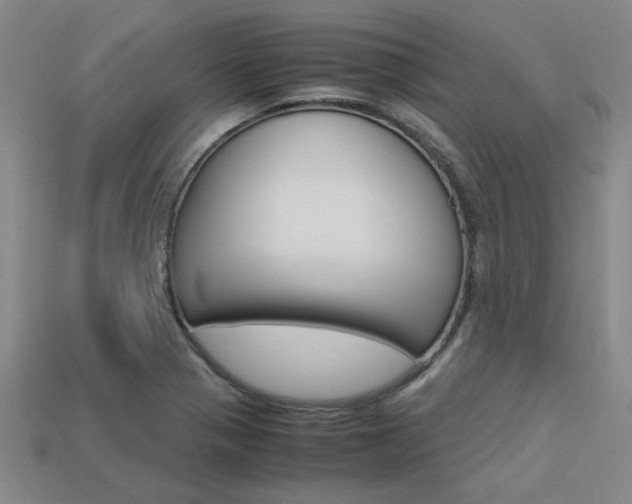 X0000113601321200909181100
