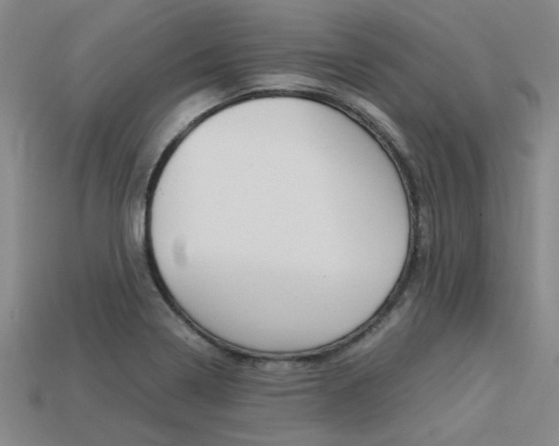 X0000113601322200909181100