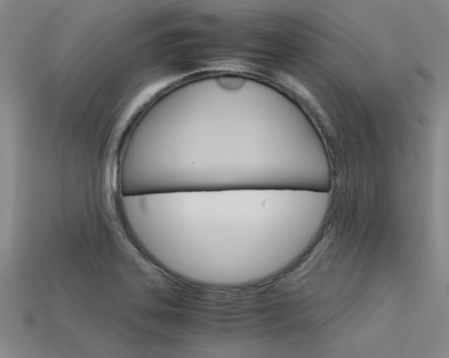 X0000113601323200909181100