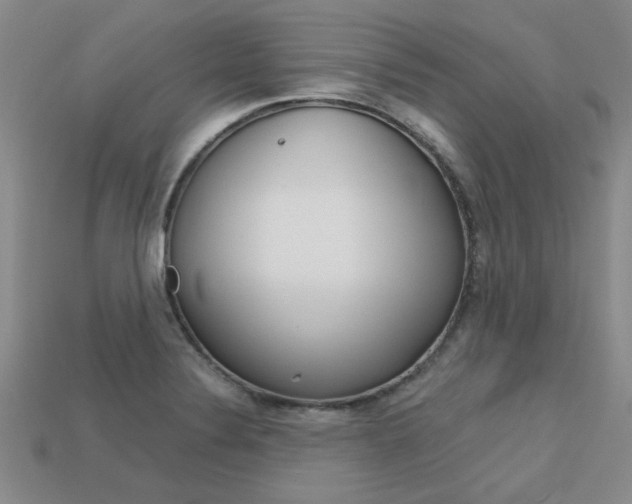 X0000113601324200909181100