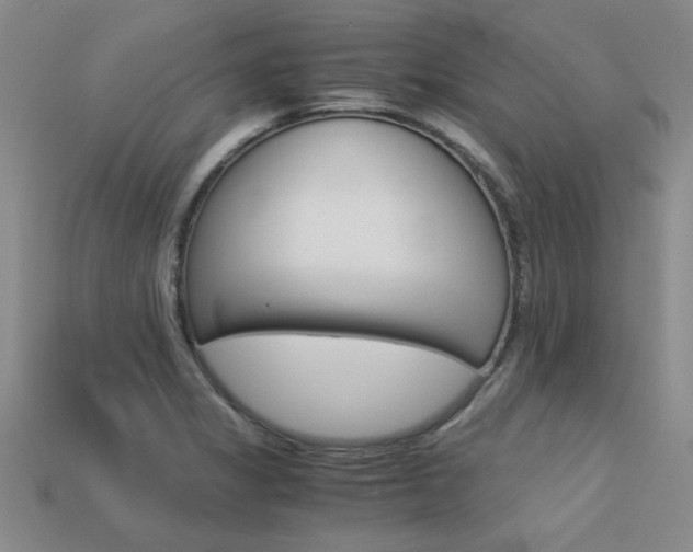 X0000113601325200909181100