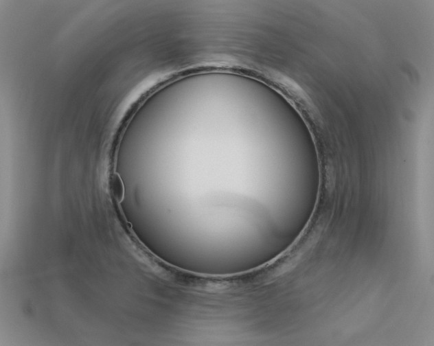X0000113601326200909181100
