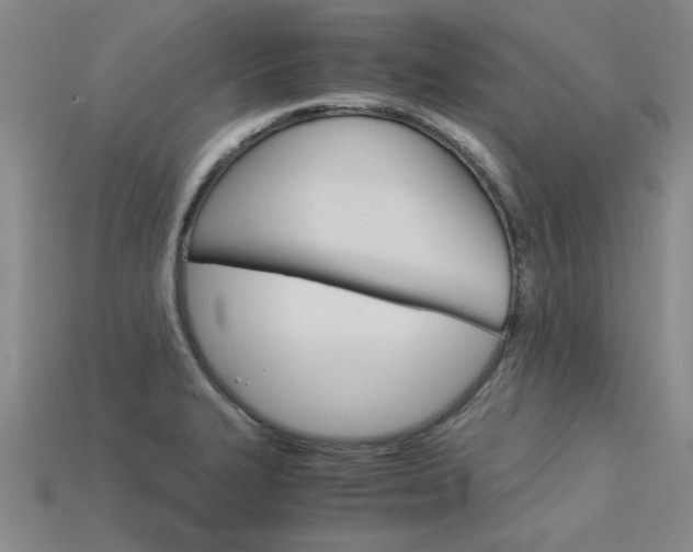 X0000113601327200909181100