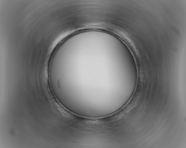 X0000113601328200909181100