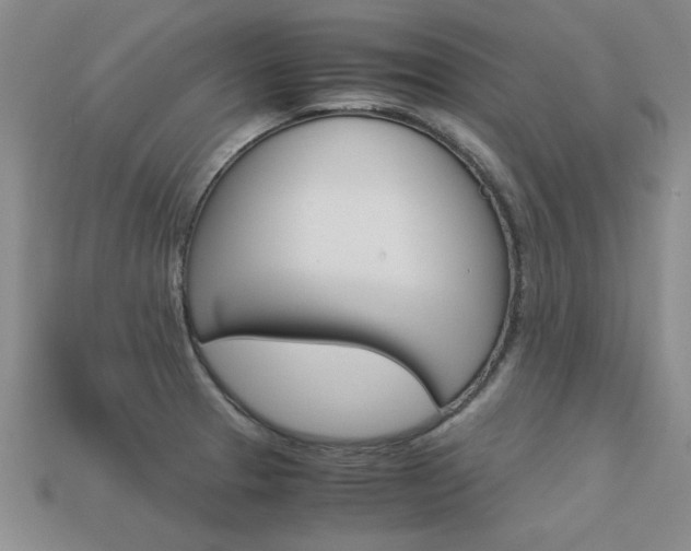 X0000113601329200909181100